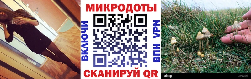 Псилоцибиновые грибы Psilocybe  Щёлково 